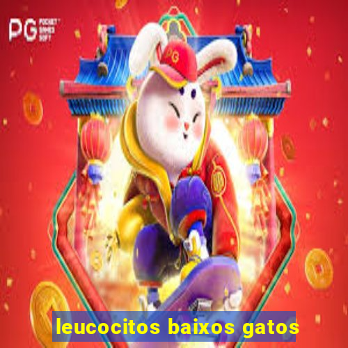 leucocitos baixos gatos